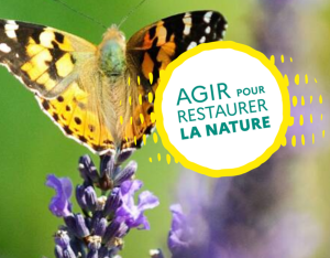 Concertation autour du Règlement "Restauration de la nature"