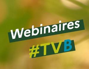Réaliser un écuroduc | CdR TVB