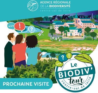 Biodiv'Tour : visite autour des écoles résilentes à Olivet (45)